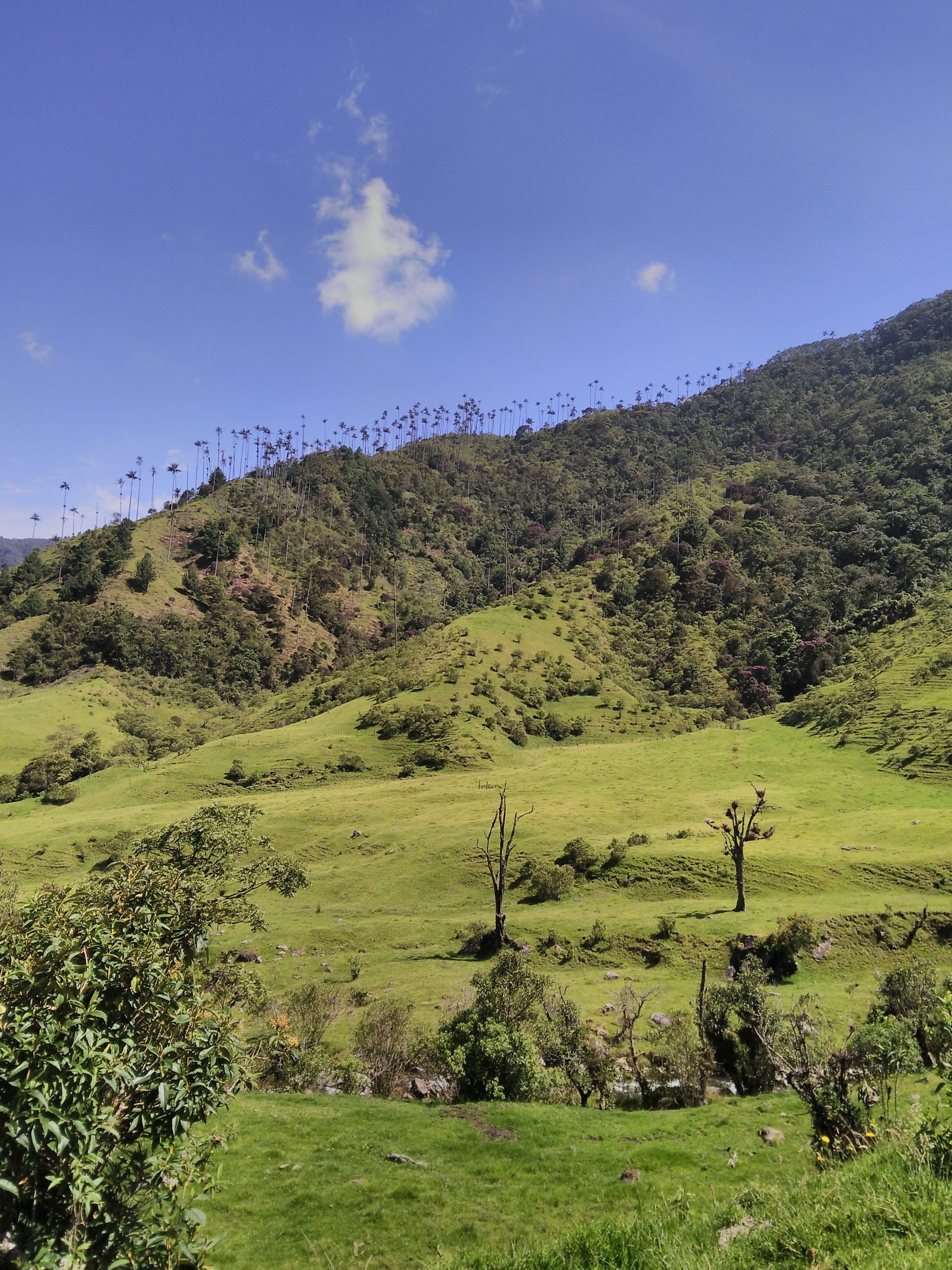 Colombia_3-26 10.05.35