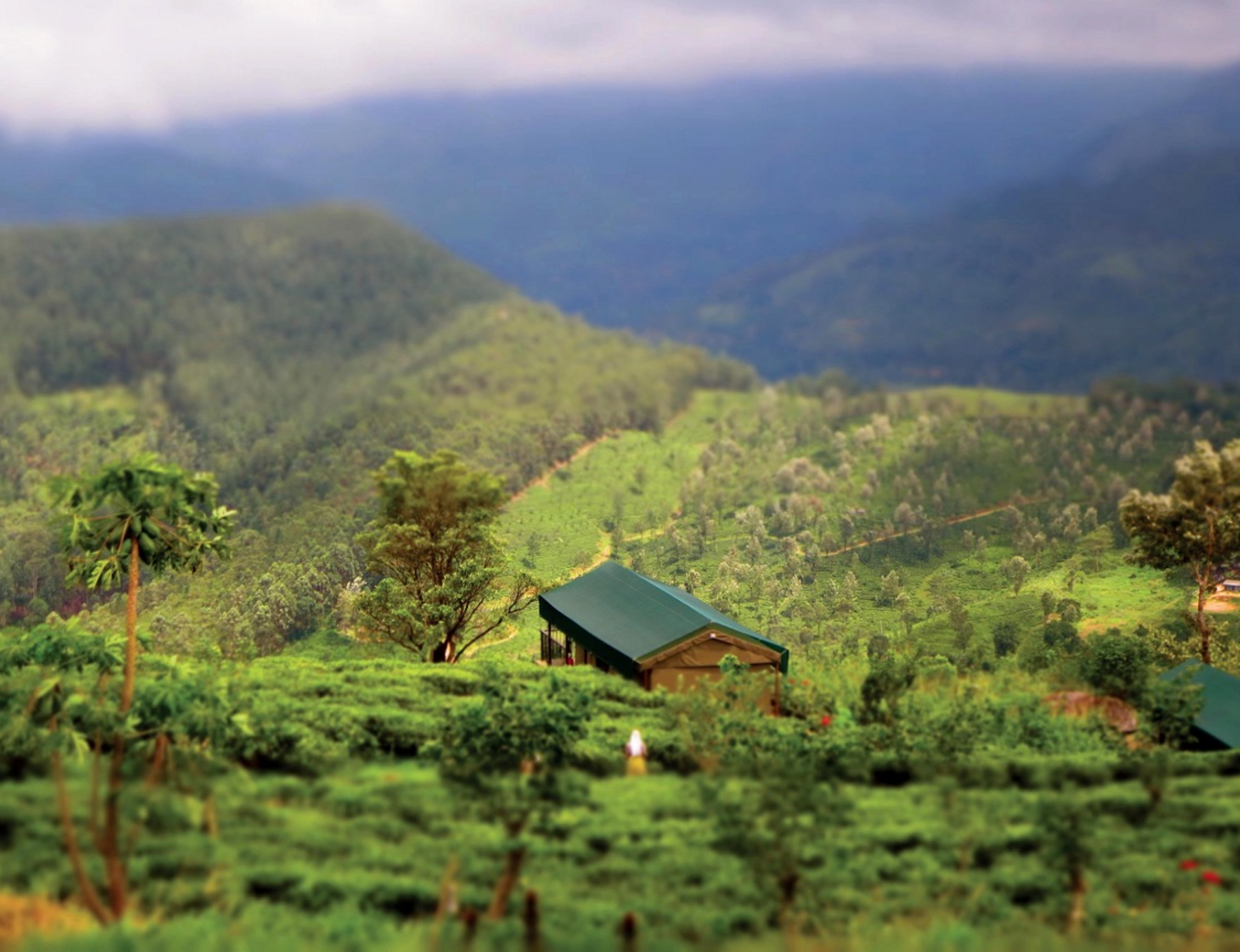 District de Nuwara Eliya