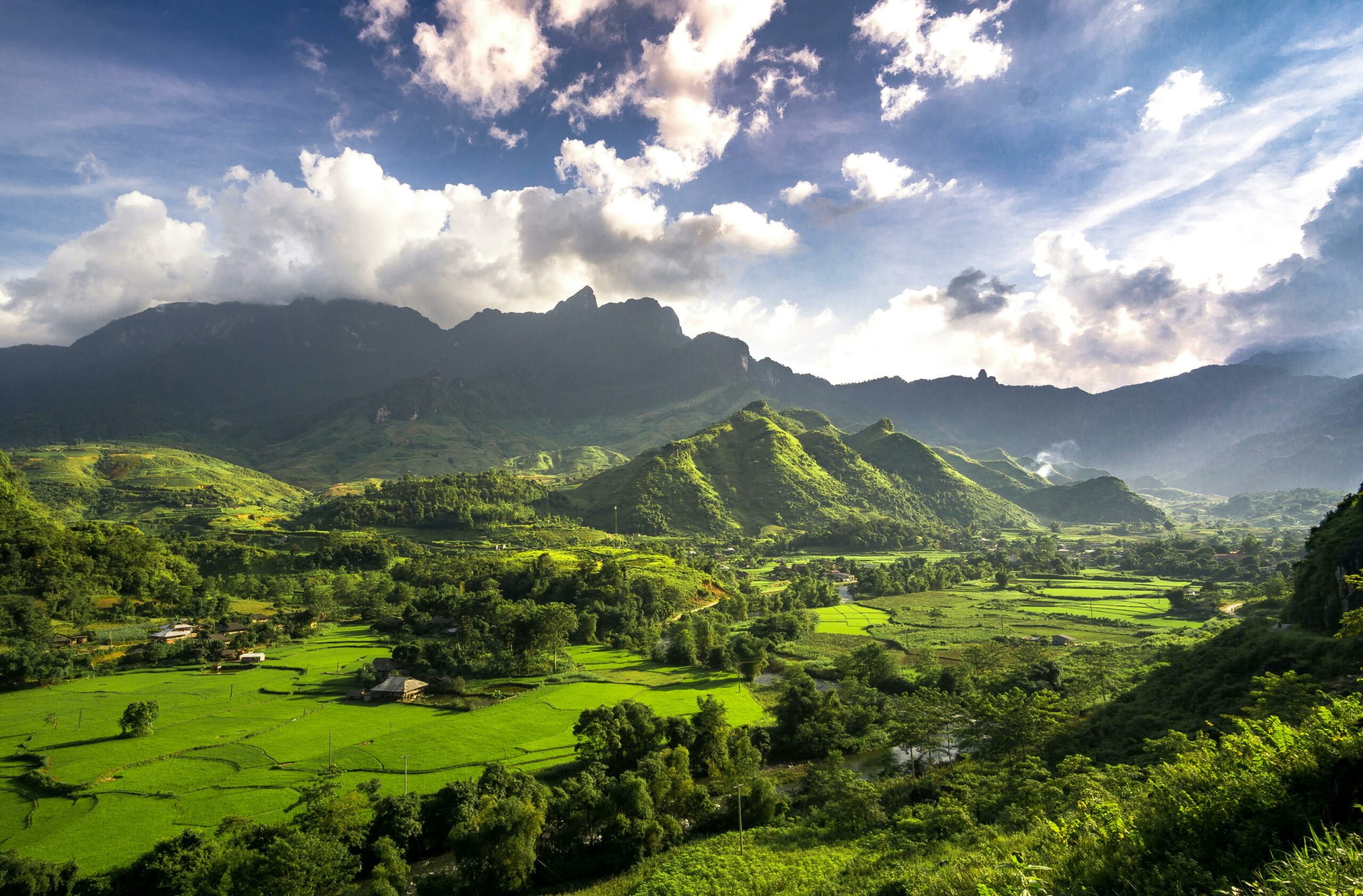 pexels-q-hưng-phạm-2965773